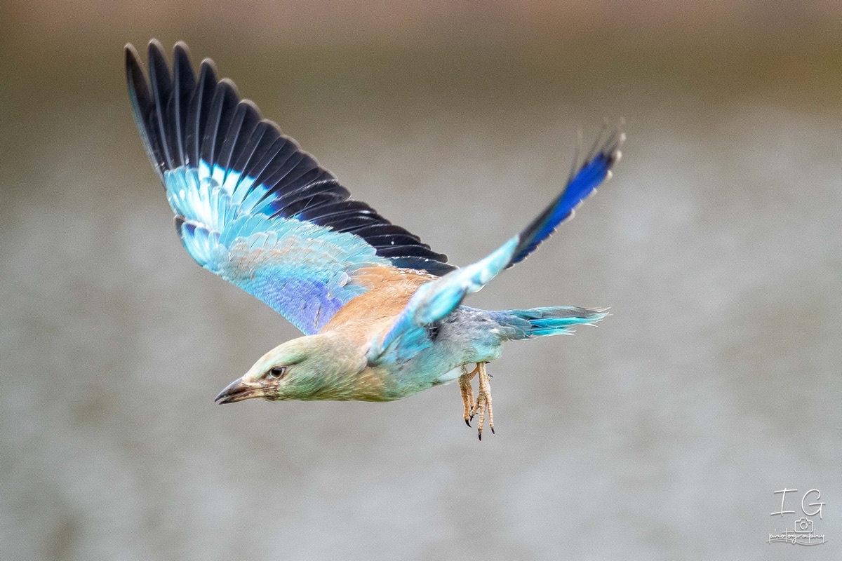 AK6I1732 31 oktober 2021 1533 19